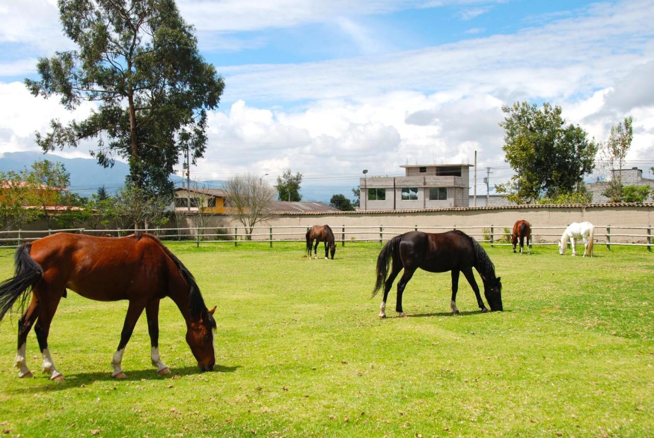 מלון אוטהוואלו Hacienda Cusin מראה חיצוני תמונה